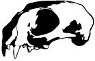 A stylized black and white skull logo.