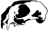 A stylized black and white skull logo.