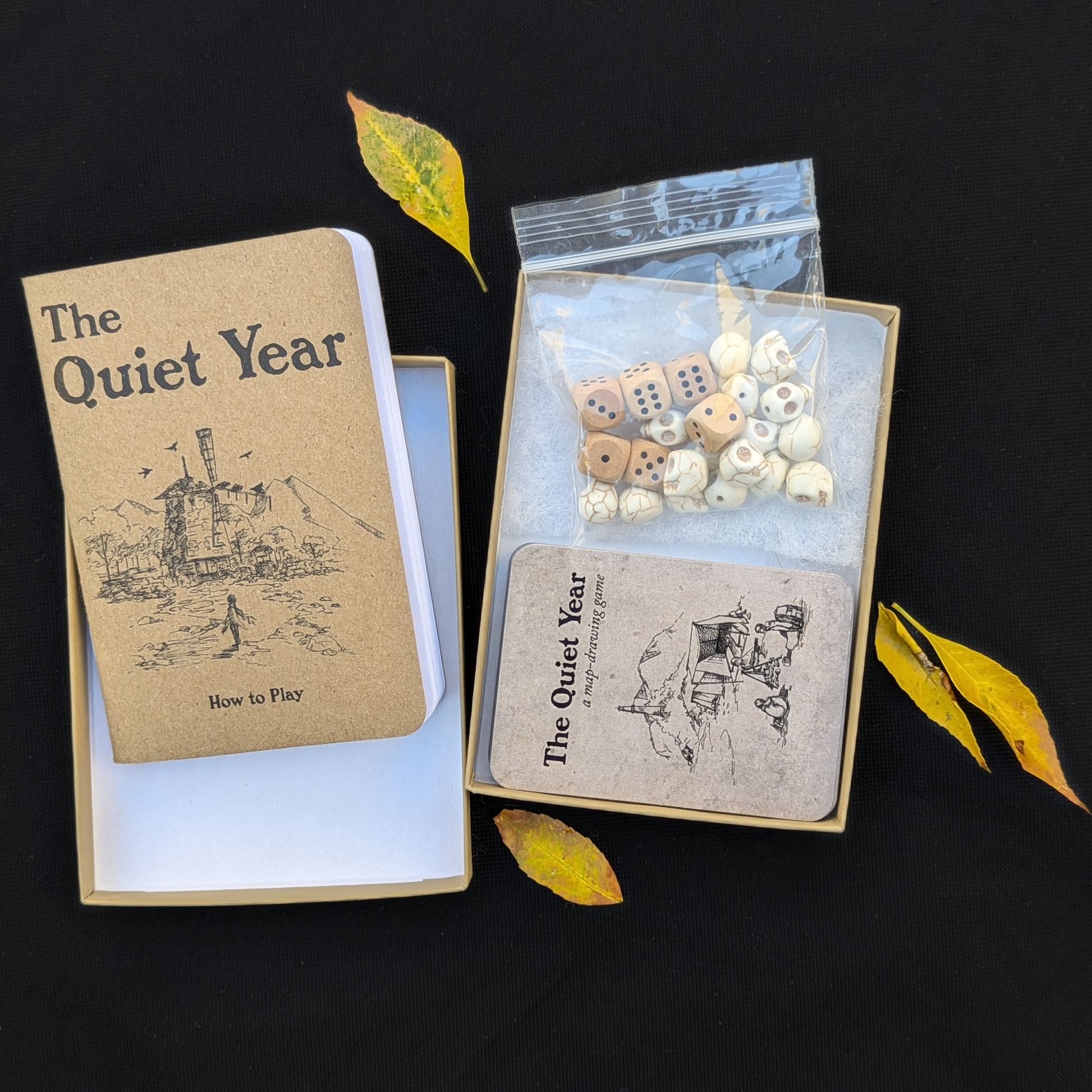 The Quiet Year (box set)